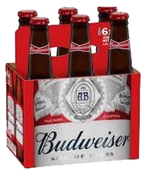 Budweiser 5% 6x330B
