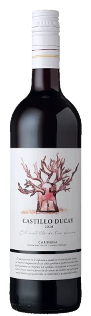 Castillo Ducay Red Blend