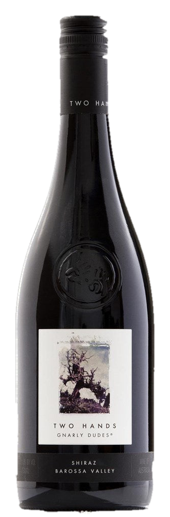 Two Hands Gnarly Dudes Shiraz