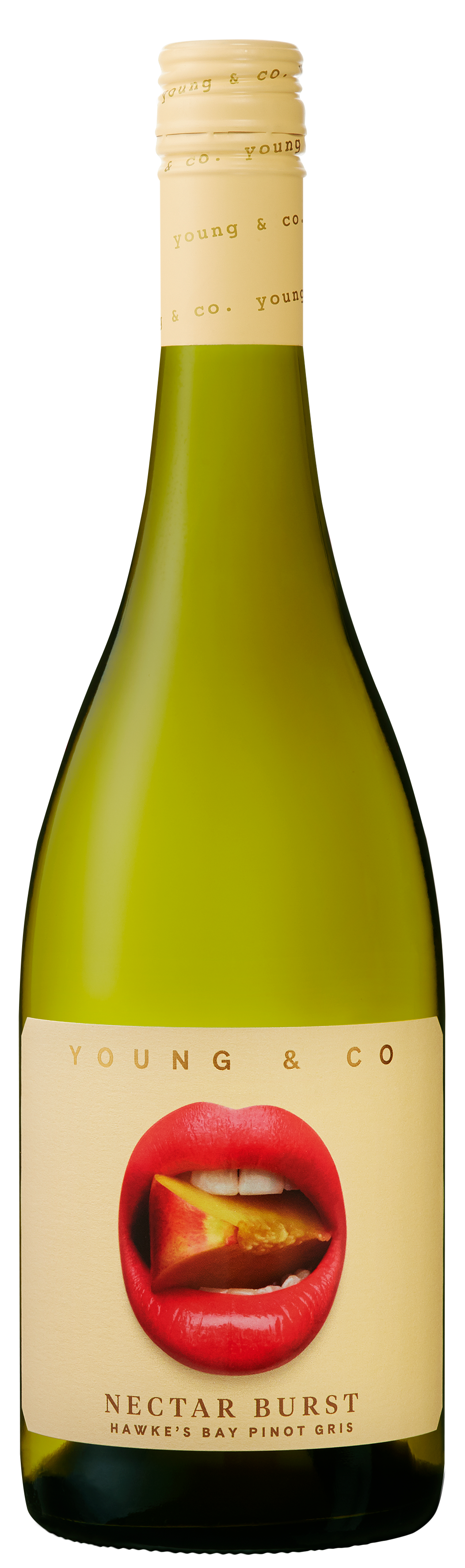 Young & Co Pinot Gris - Liquor Library