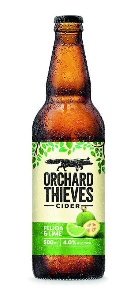 Orchard Thvs Feijoa/Lime 500ml