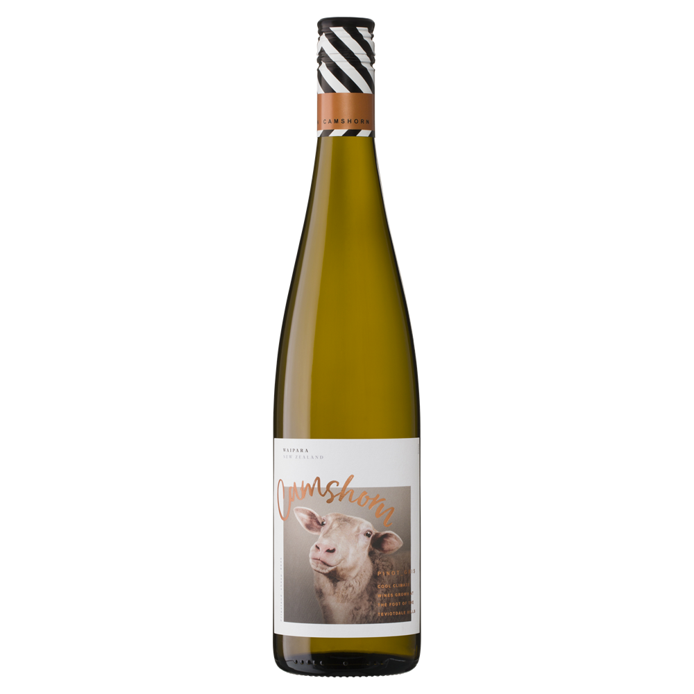 Camshorn PinotG