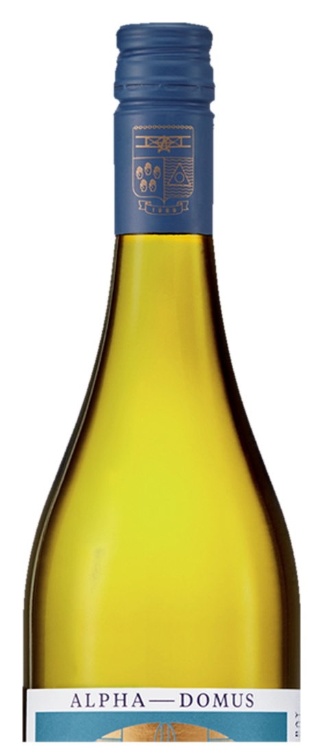 Alpha Domus Collection Chard
