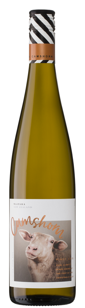 Camshorn PinotG