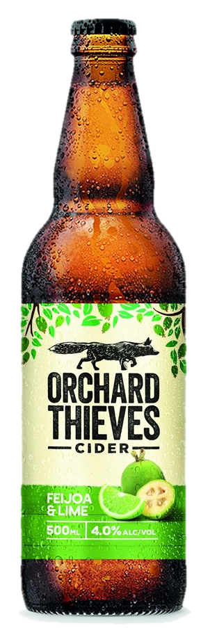 Orchard Thvs Feijoa/Lime 500ml