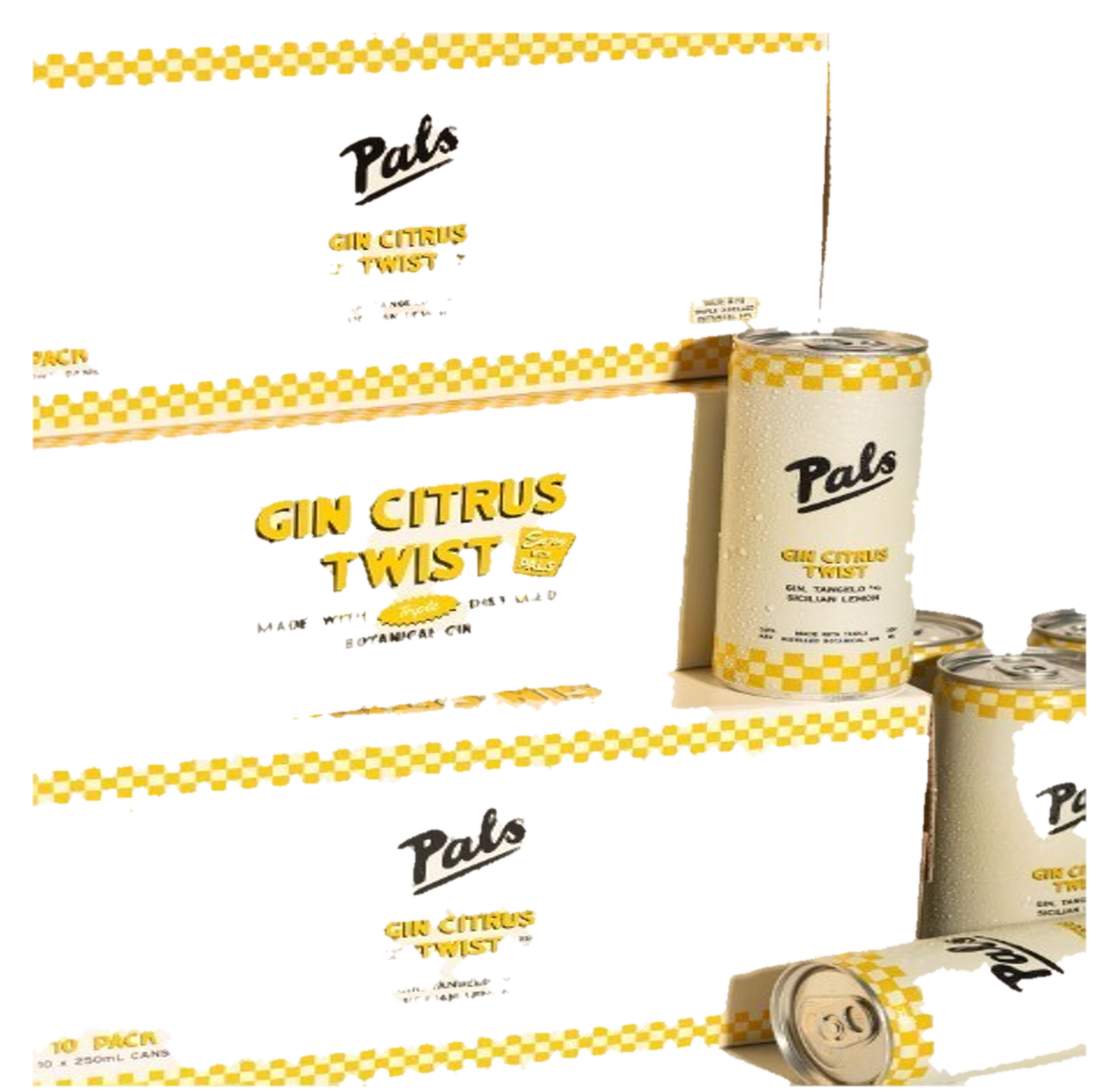 Pals Gin Citrus Twist 10x250C