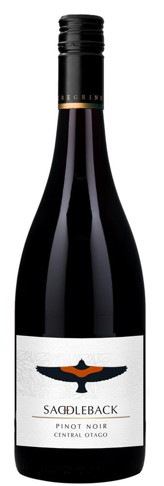 Peregrine Saddleback P/Noir