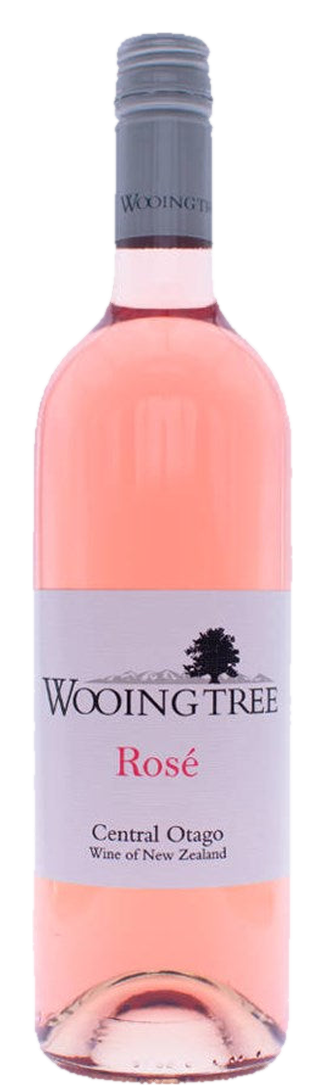 Wooing Tree Rose