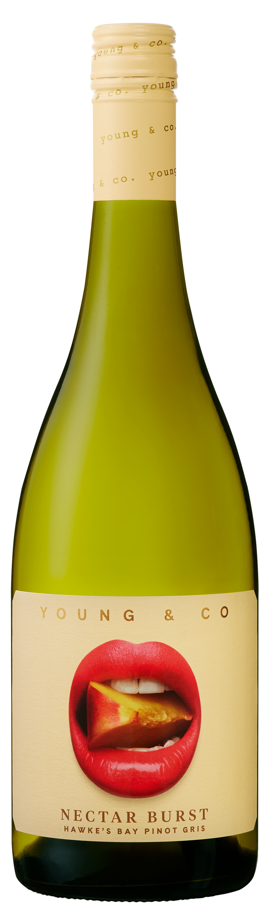 Young & Co Pinot Gris - Liquor Library