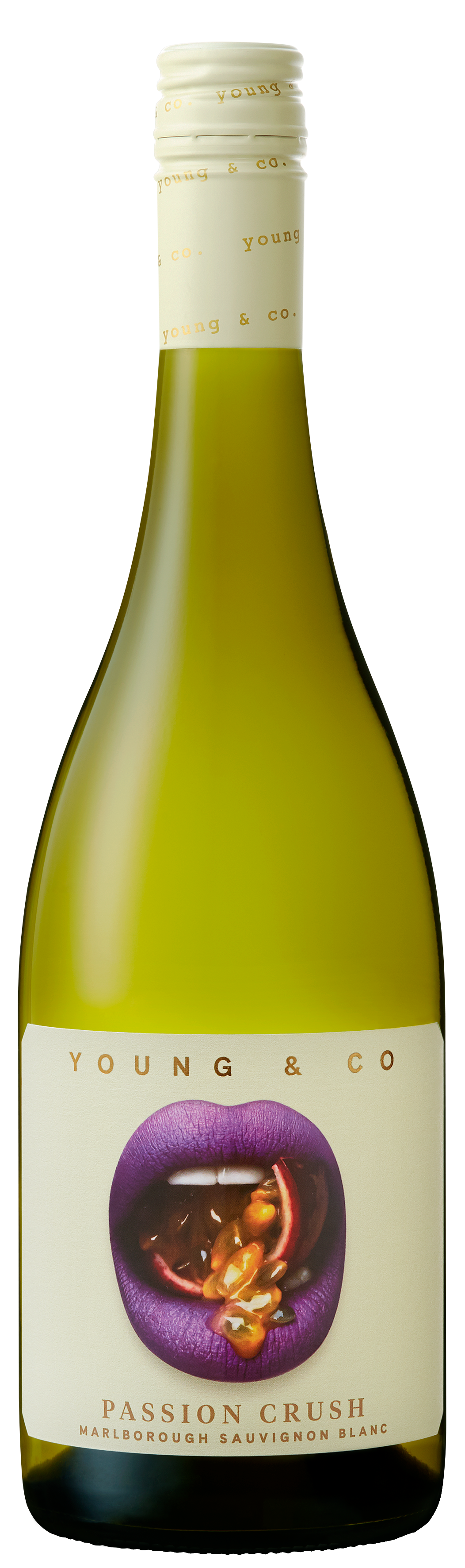 Young & Co Sauvignon Blanc - Liquor Library